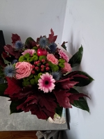 Zdjęcie od Aleksandra F.