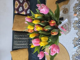 Zdjęcie od Karolina K.