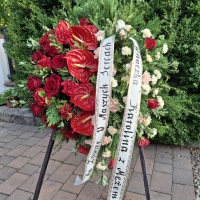 Zdjęcie od Karolina